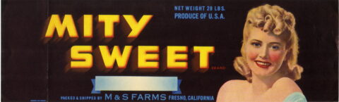 Mity Sweet